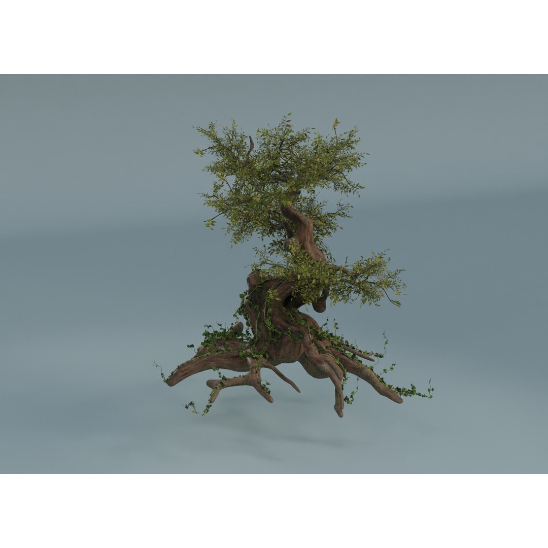 Chinese Banyan Tree 3D Model – Low Poly PBR Asset, Blender & FBX - View 5