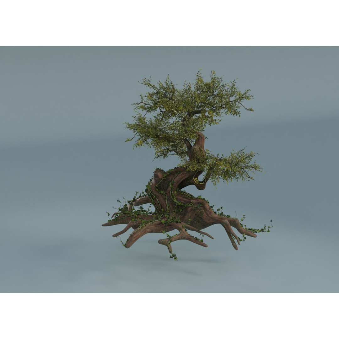 Chinese Banyan Tree 3D Model – Low Poly PBR Asset, Blender & FBX - View 6