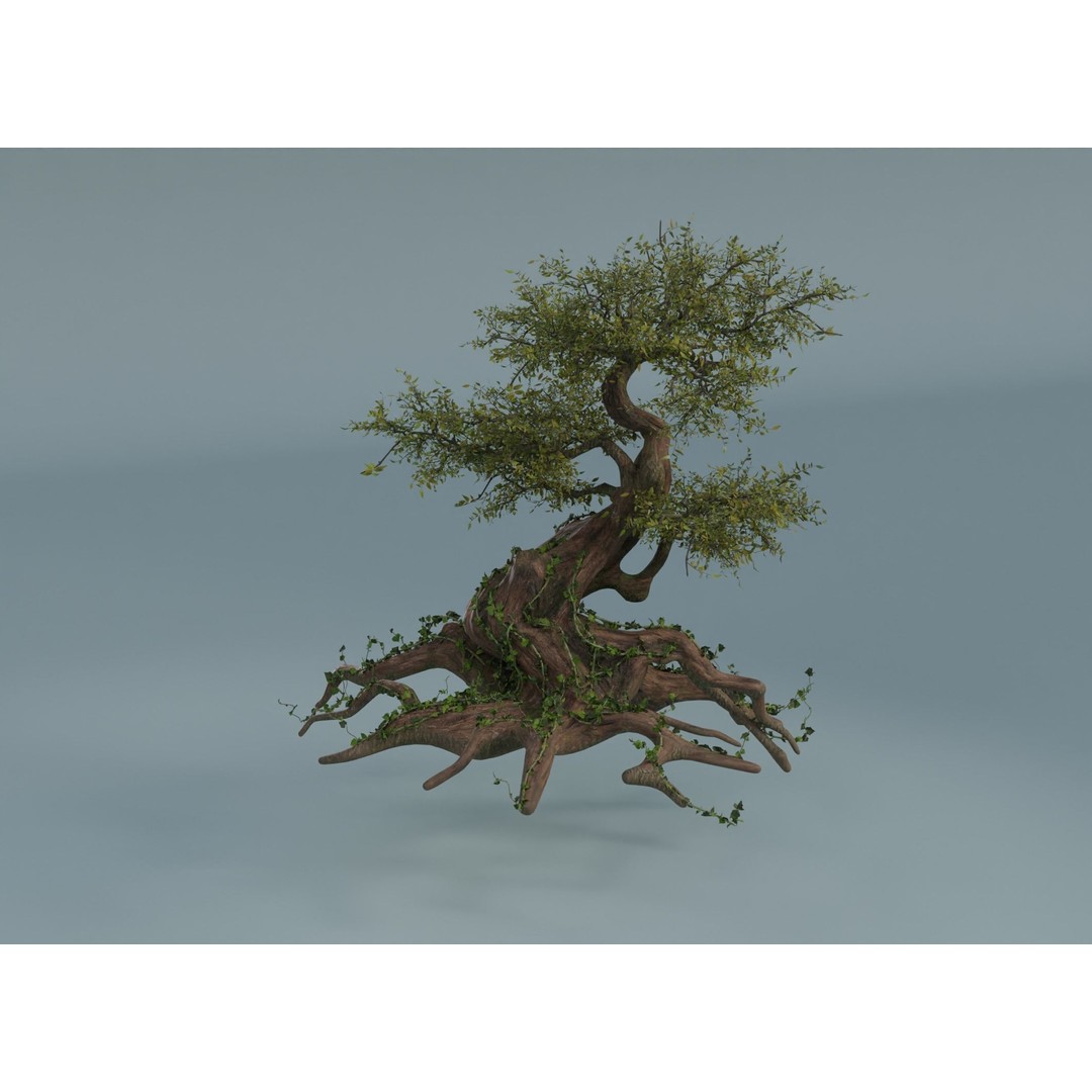 Chinese Banyan Tree 3D Model – Low Poly PBR Asset, Blender & FBX - View 7