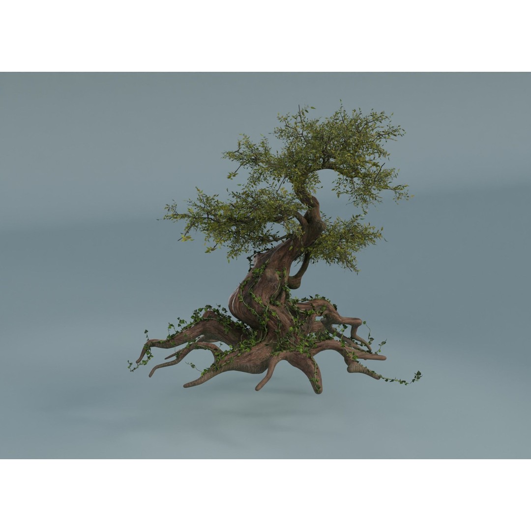 Chinese Banyan Tree 3D Model – Low Poly PBR Asset, Blender & FBX - View 8