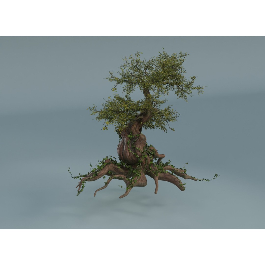 Chinese Banyan Tree 3D Model – Low Poly PBR Asset, Blender & FBX - View 9