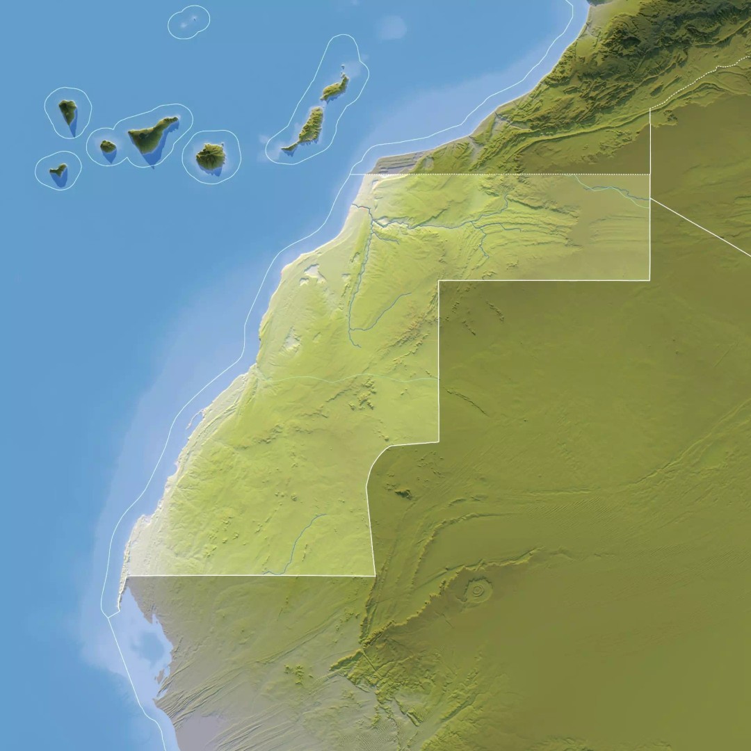 Western Sahara Map 3D Model – Realistic Satellite Terrain, FBX, OBJ - View 10