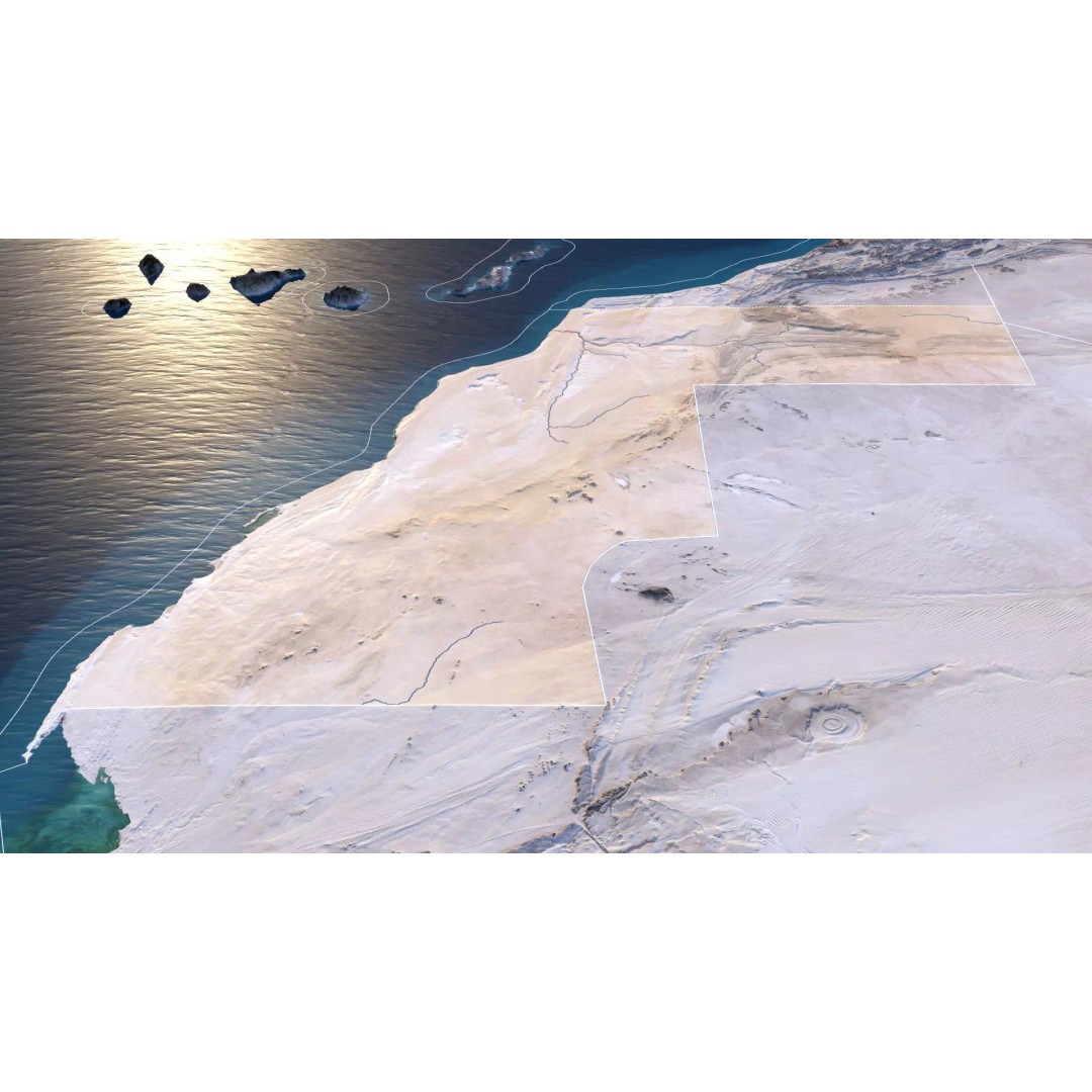 Western Sahara Map 3D Model – Realistic Satellite Terrain, FBX, OBJ - View 4