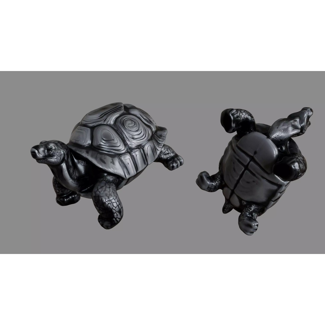 Turtle 3D Model – Photorealistic Figurine with PBR Textures, FBX - View 2