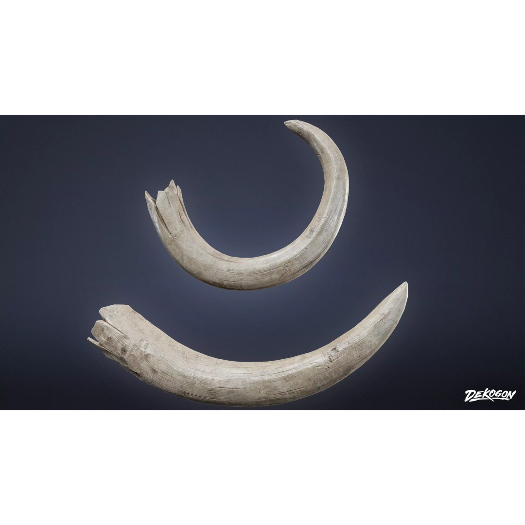 Mammoth Tusk 3D Model – Low Poly Game Asset, FBX, PBR Textures - View 2