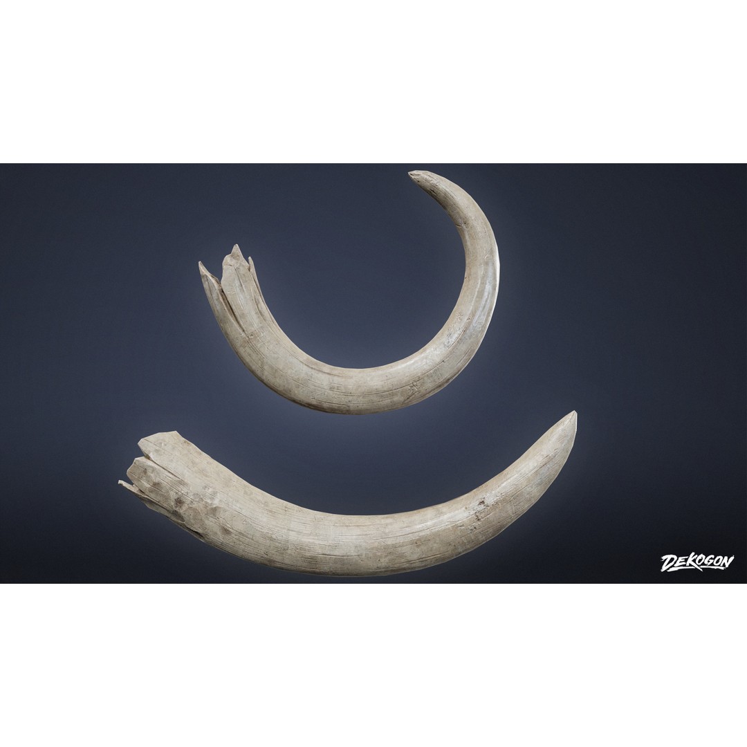 Mammoth Tusk 3D Model – Low Poly Game Asset, FBX, PBR Textures - View 3