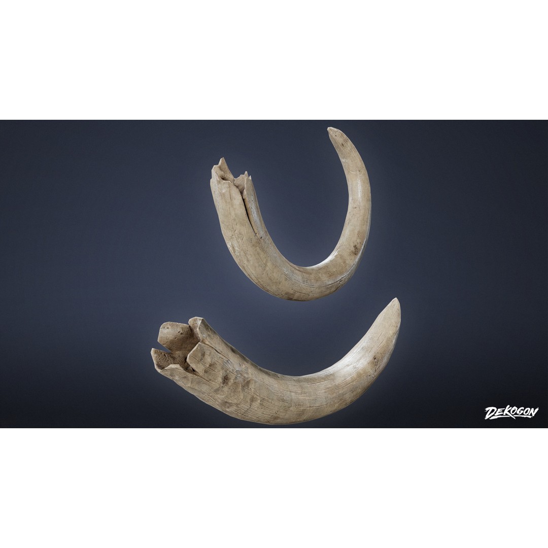 Mammoth Tusk 3D Model – Low Poly Game Asset, FBX, PBR Textures - View 4