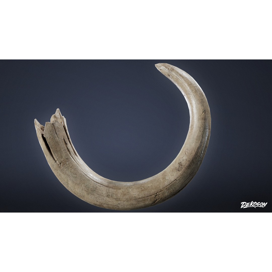 Mammoth Tusk 3D Model – Low Poly Game Asset, FBX, PBR Textures - View 5