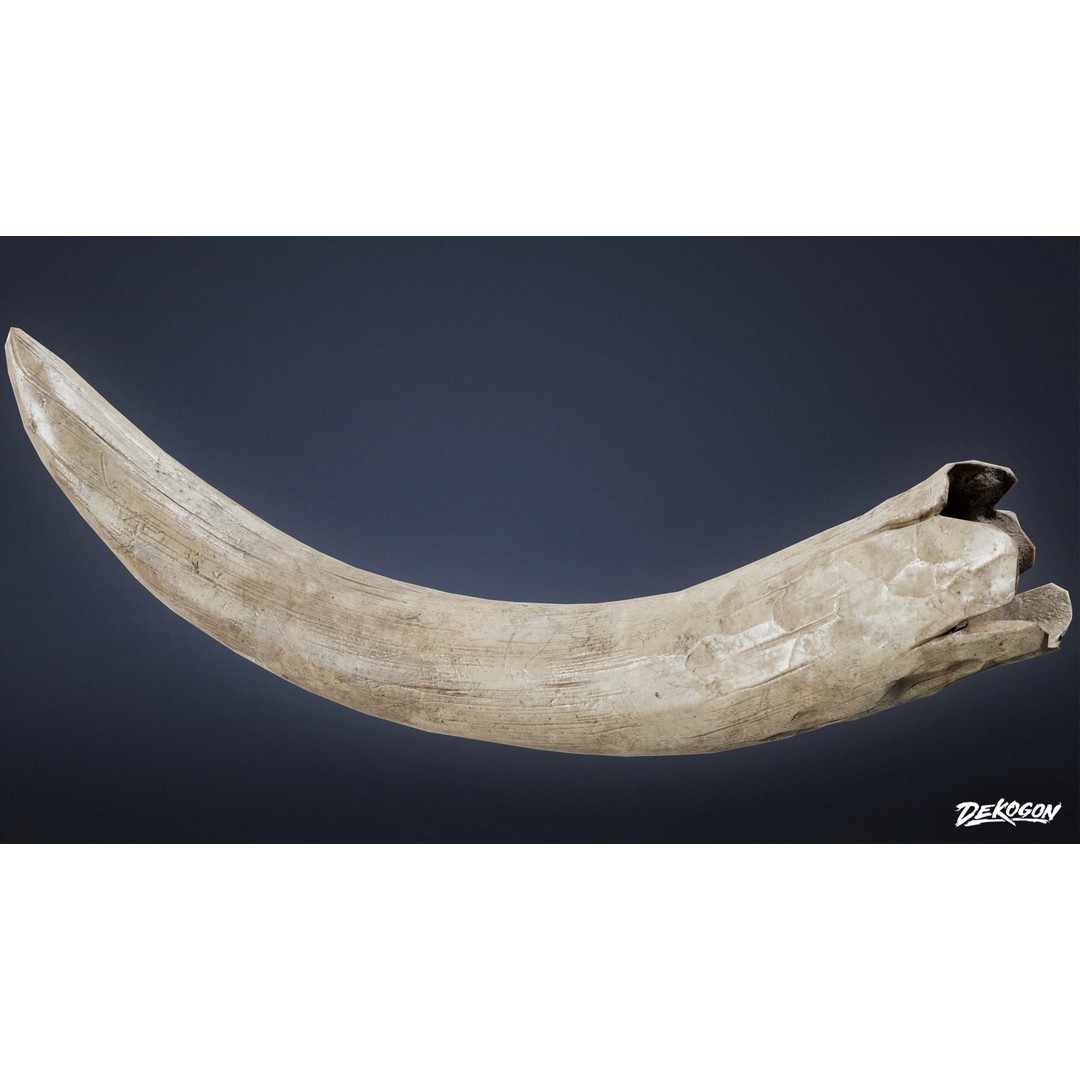 Mammoth Tusk 3D Model – Low Poly Game Asset, FBX, PBR Textures - View 7