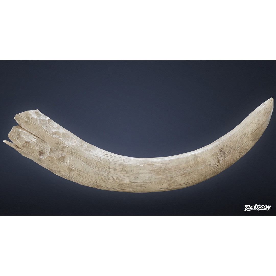 Mammoth Tusk 3D Model – Low Poly Game Asset, FBX, PBR Textures - View 8