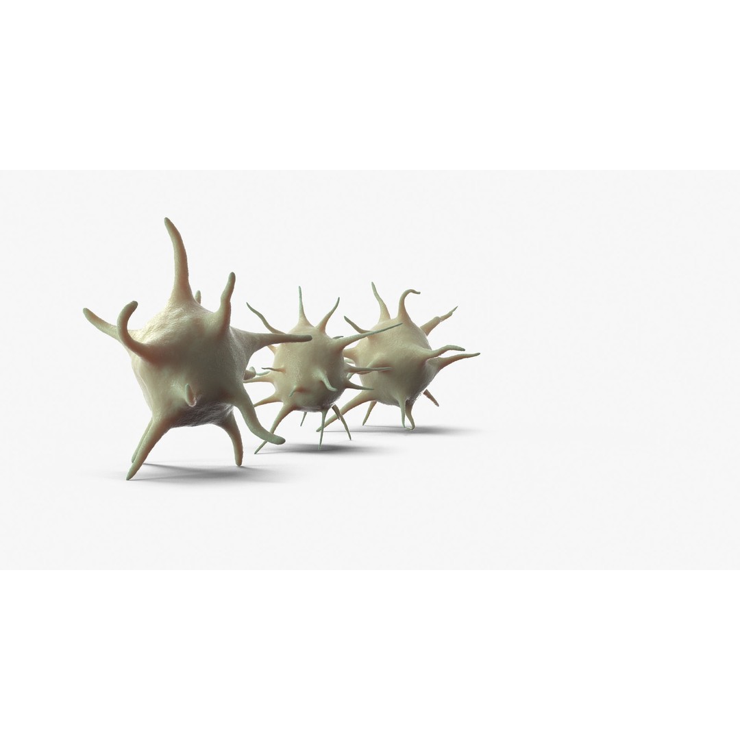 Platelet Thrombocyte Collection 3D Model – Low Poly PBR Asset, FBX, OBJ - View 10