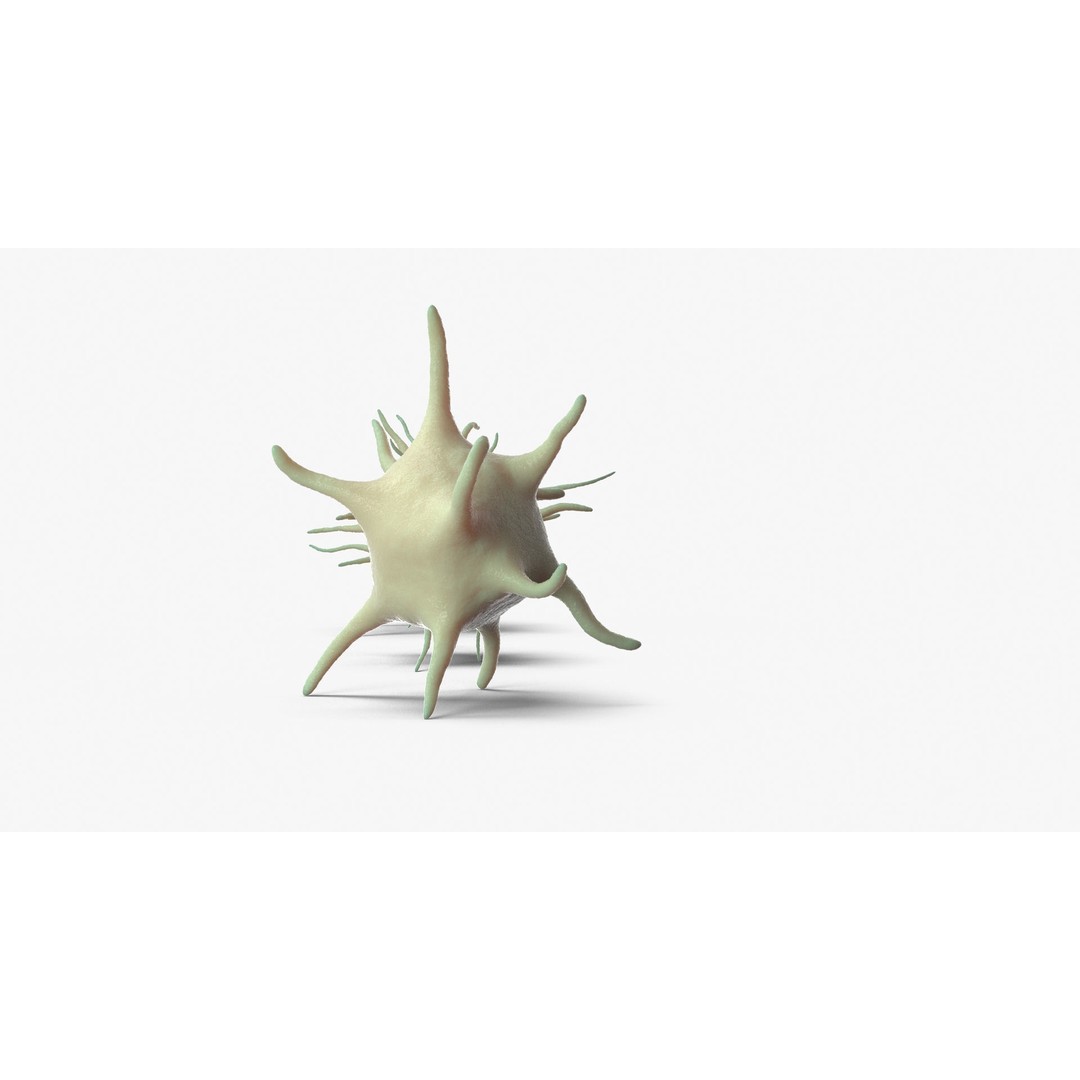 Platelet Thrombocyte Collection 3D Model – Low Poly PBR Asset, FBX, OBJ - View 11