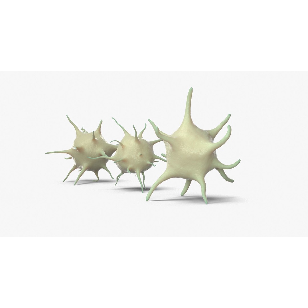 Platelet Thrombocyte Collection 3D Model – Low Poly PBR Asset, FBX, OBJ - View 12