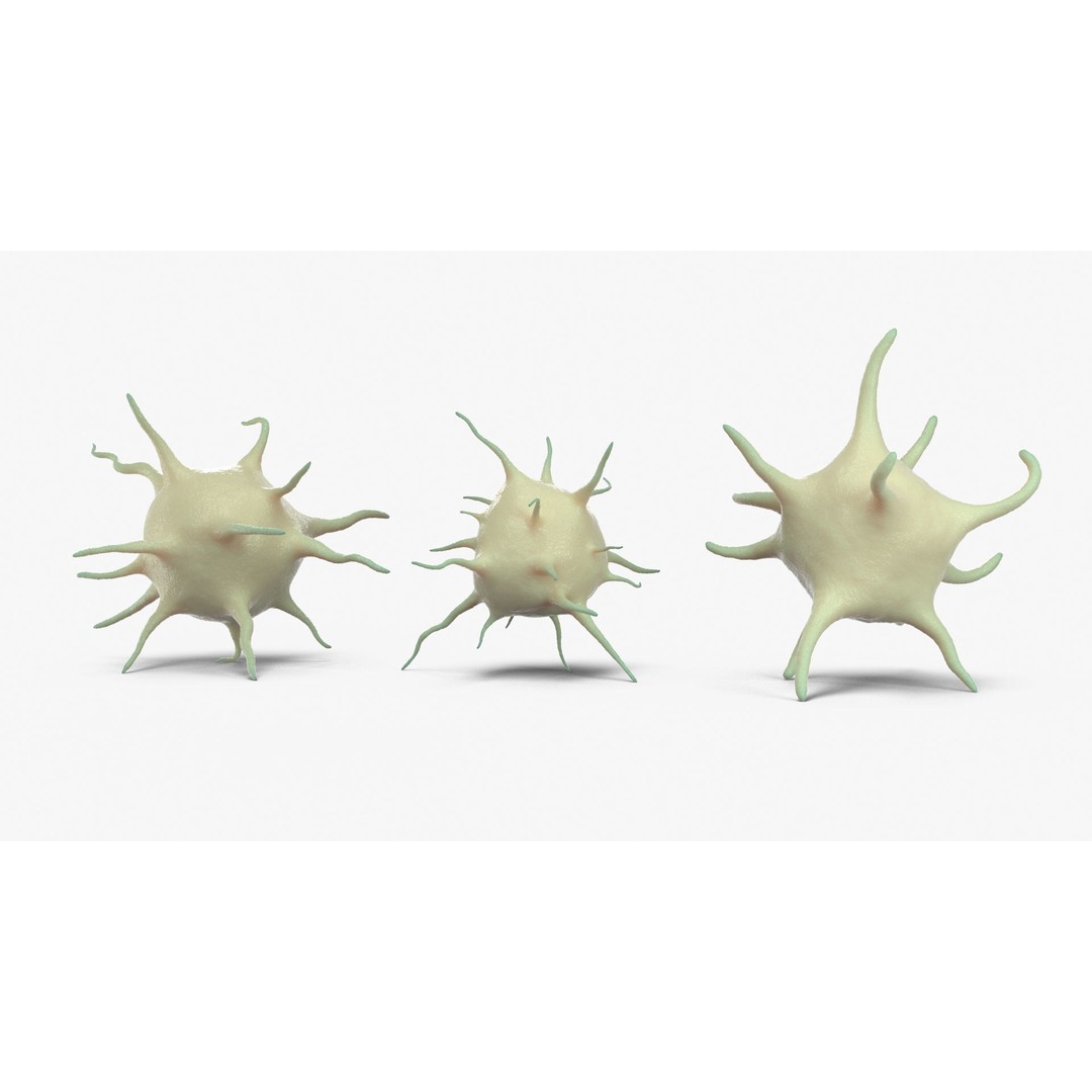Platelet Thrombocyte Collection 3D Model – Low Poly PBR Asset, FBX, OBJ - View 13