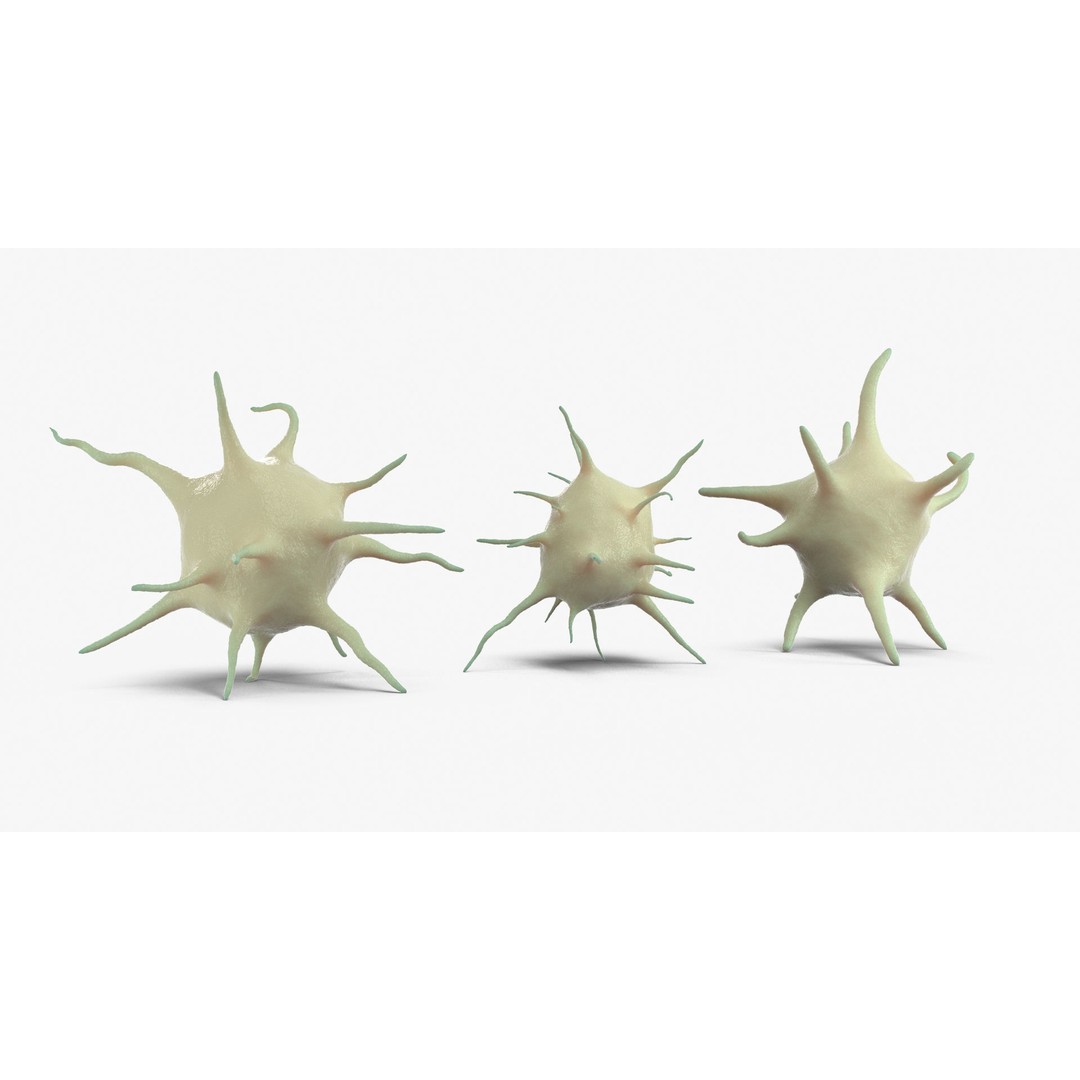Platelet Thrombocyte Collection 3D Model – Low Poly PBR Asset, FBX, OBJ - View 14