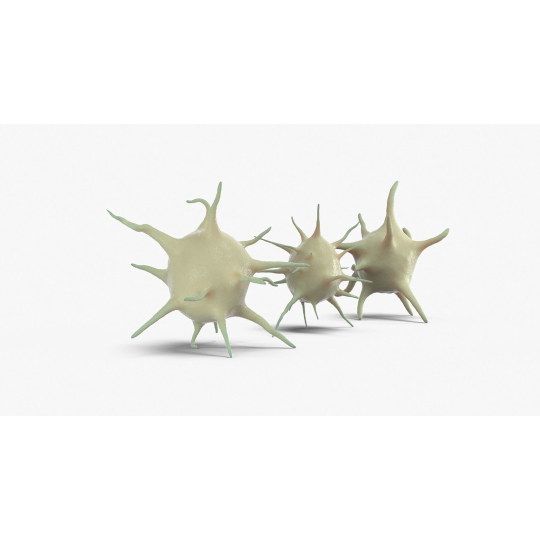 Platelet Thrombocyte Collection 3D Model – Low Poly PBR Asset, FBX, OBJ - View 15