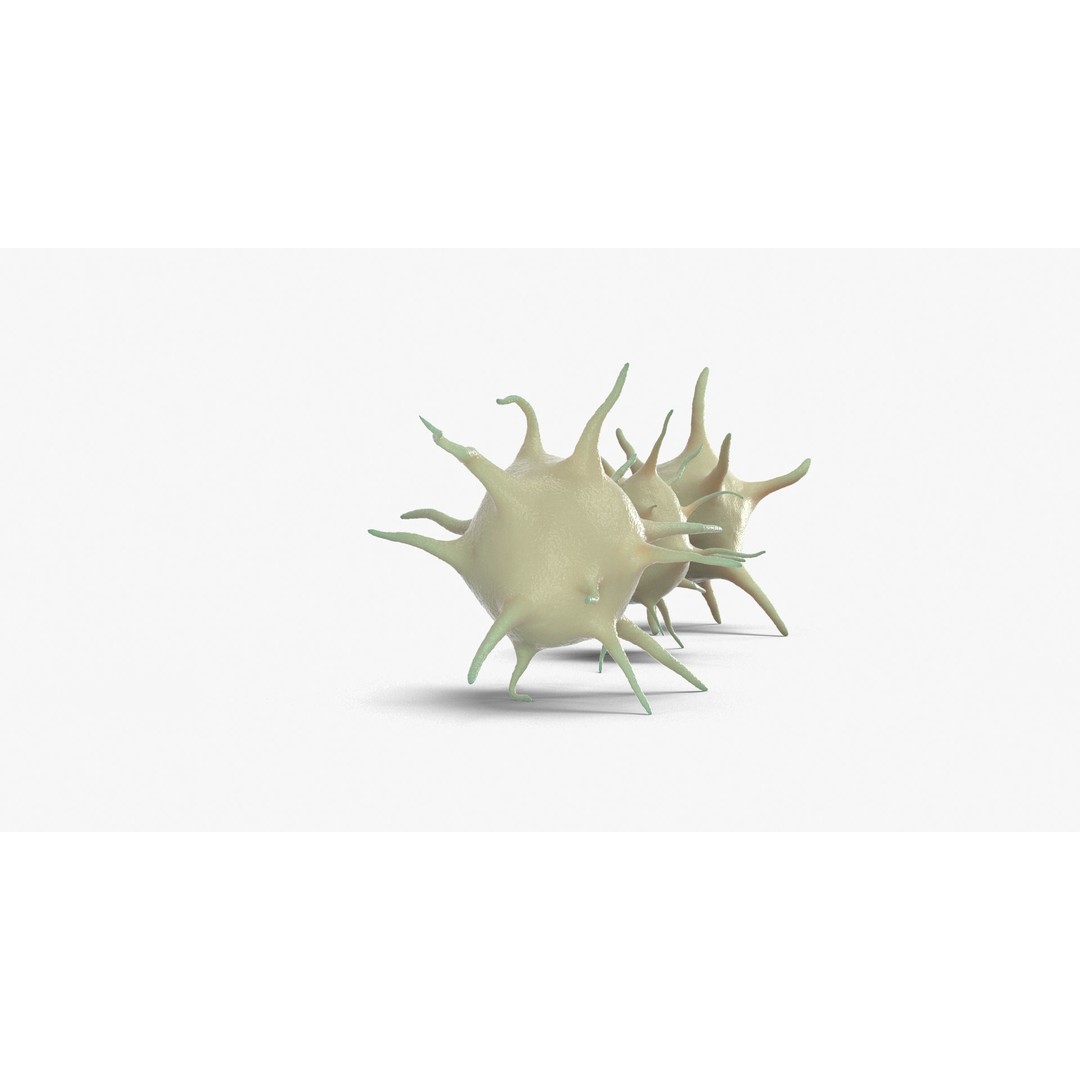 Platelet Thrombocyte Collection 3D Model – Low Poly PBR Asset, FBX, OBJ - View 16