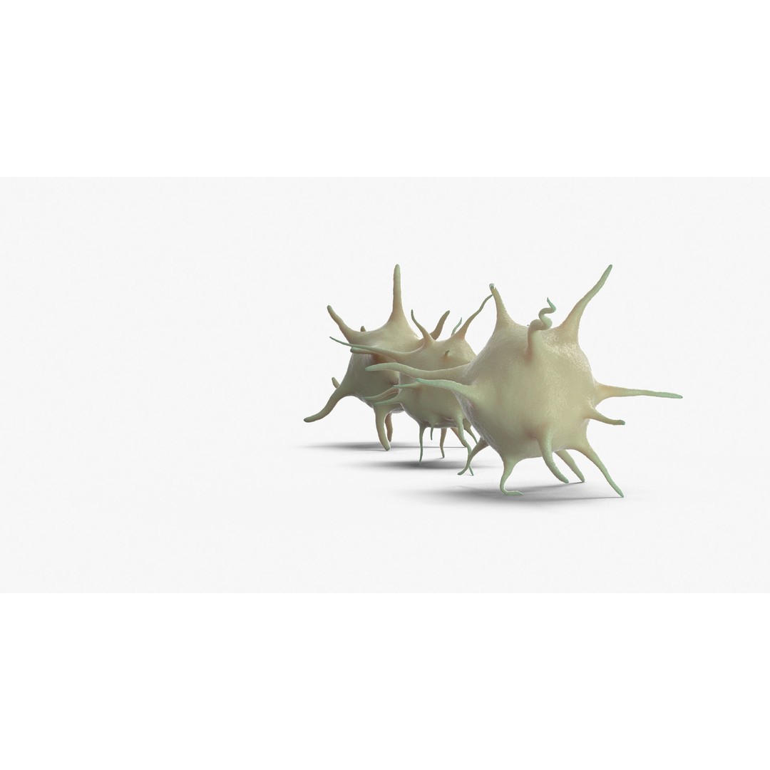 Platelet Thrombocyte Collection 3D Model – Low Poly PBR Asset, FBX, OBJ - View 17