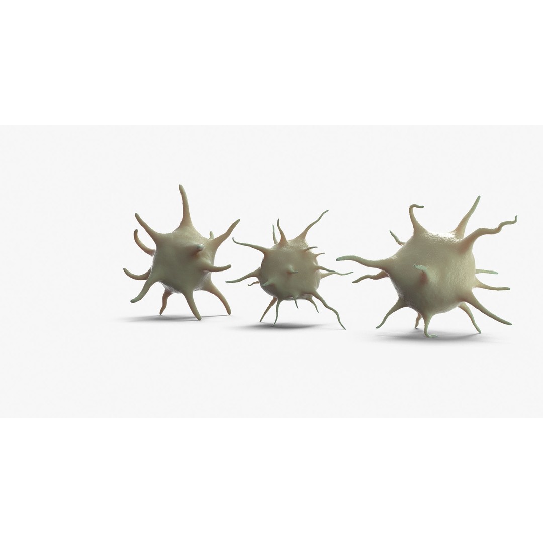 Platelet Thrombocyte Collection 3D Model – Low Poly PBR Asset, FBX, OBJ - View 18