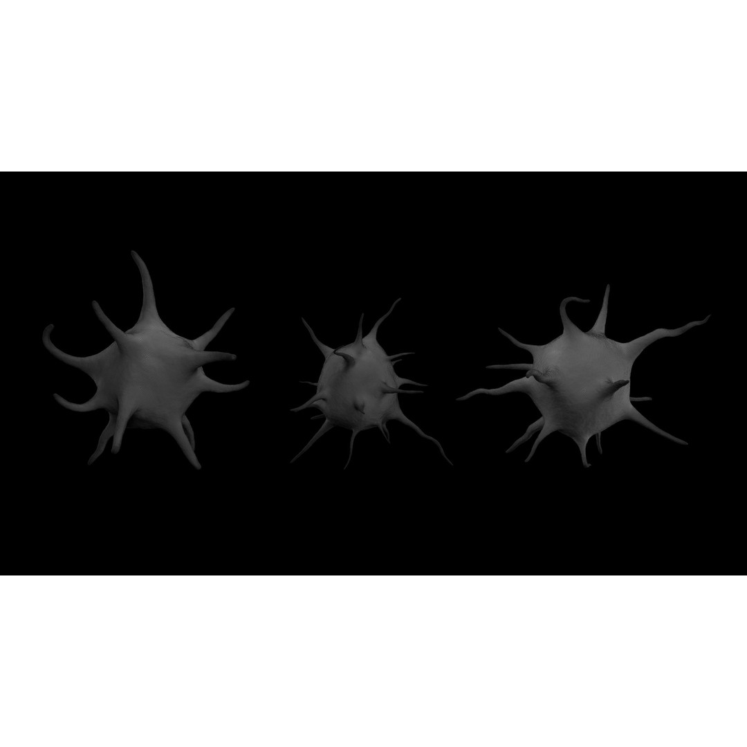 Platelet Thrombocyte Collection 3D Model – Low Poly PBR Asset, FBX, OBJ - View 19