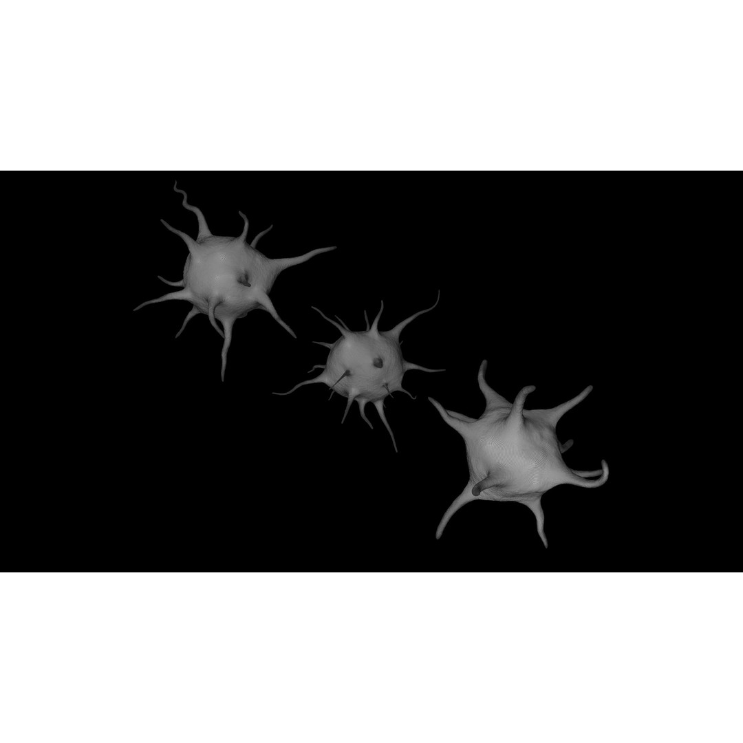 Platelet Thrombocyte Collection 3D Model – Low Poly PBR Asset, FBX, OBJ - View 20