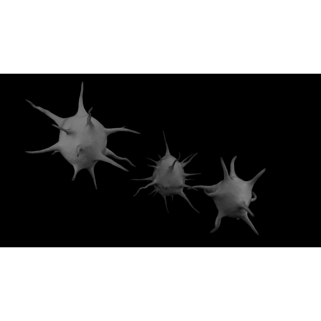 Platelet Thrombocyte Collection 3D Model – Low Poly PBR Asset, FBX, OBJ - View 21