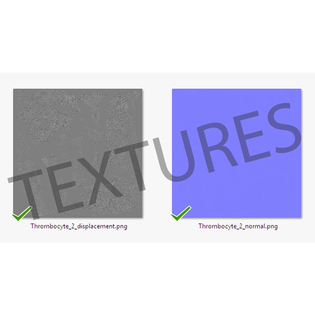 Platelet Thrombocyte Collection 3D Model – Low Poly PBR Asset, FBX, OBJ - View 25