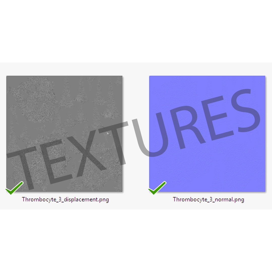 Platelet Thrombocyte Collection 3D Model – Low Poly PBR Asset, FBX, OBJ - View 27