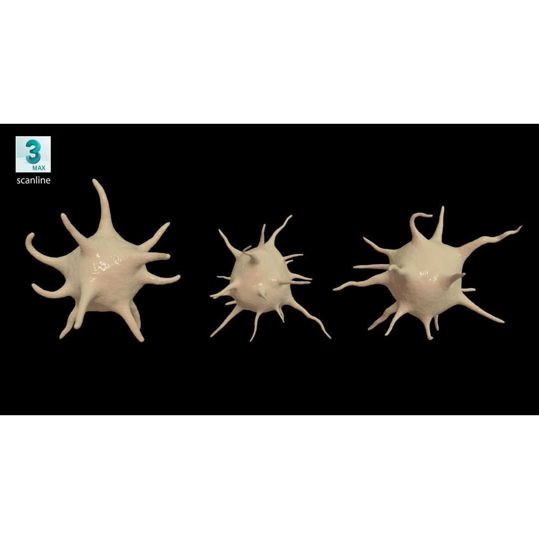 Platelet Thrombocyte Collection 3D Model – Low Poly PBR Asset, FBX, OBJ - View 28