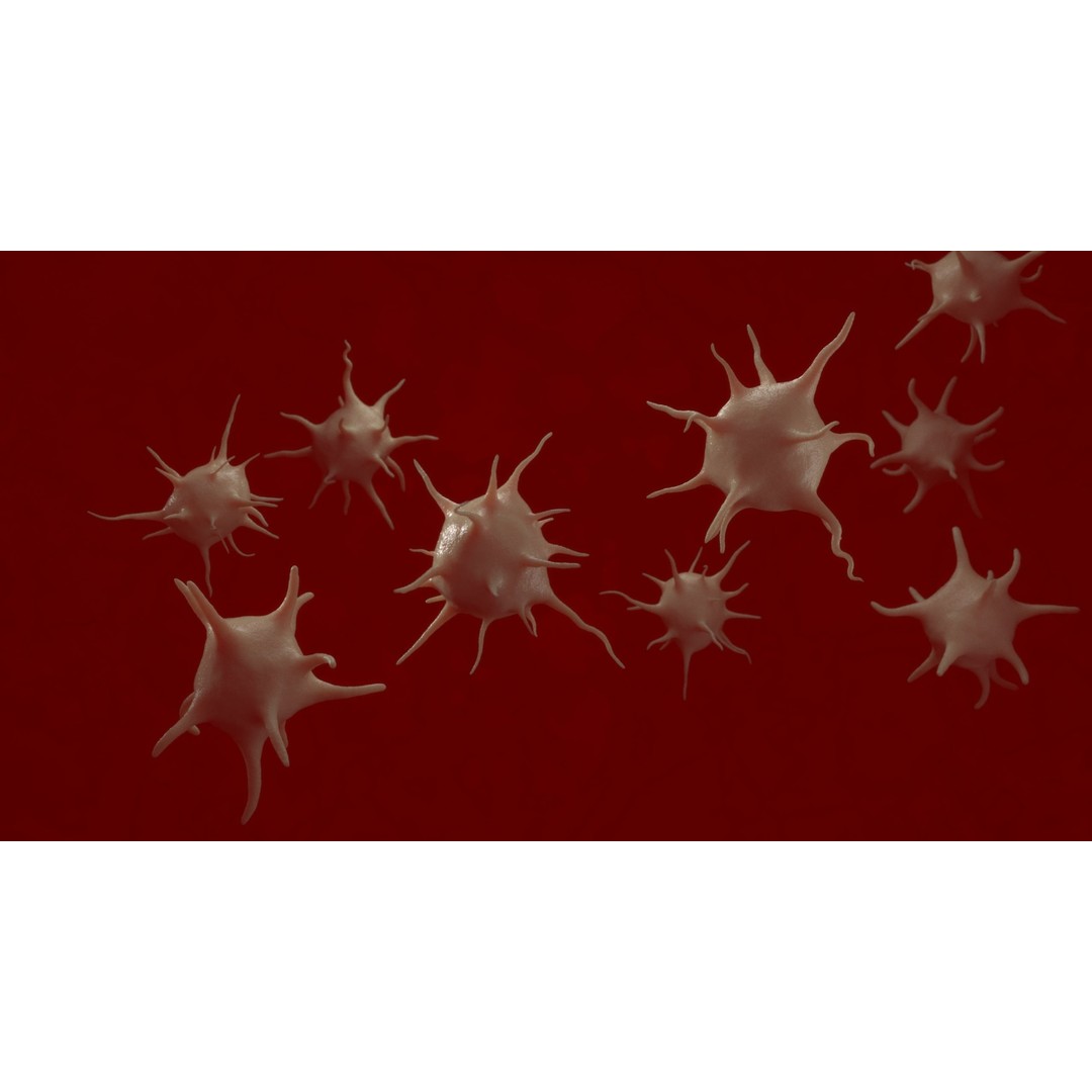 Platelet Thrombocyte Collection 3D Model – Low Poly PBR Asset, FBX, OBJ - View 3