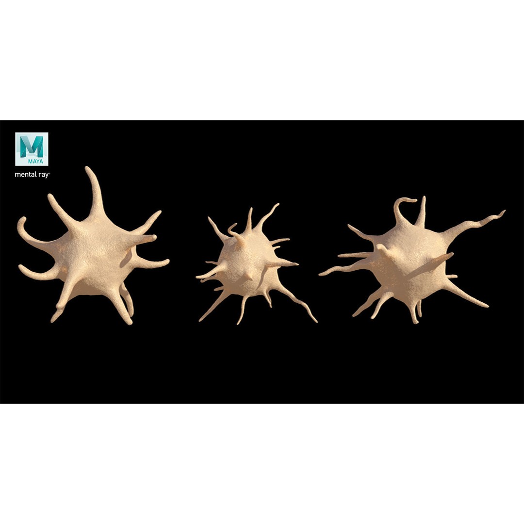 Platelet Thrombocyte Collection 3D Model – Low Poly PBR Asset, FBX, OBJ - View 30