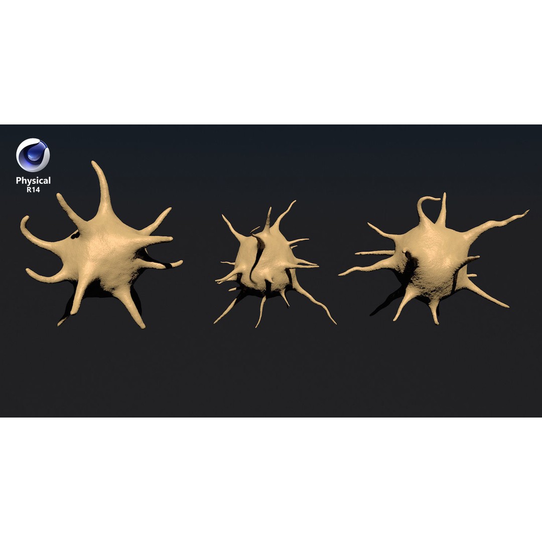 Platelet Thrombocyte Collection 3D Model – Low Poly PBR Asset, FBX, OBJ - View 32
