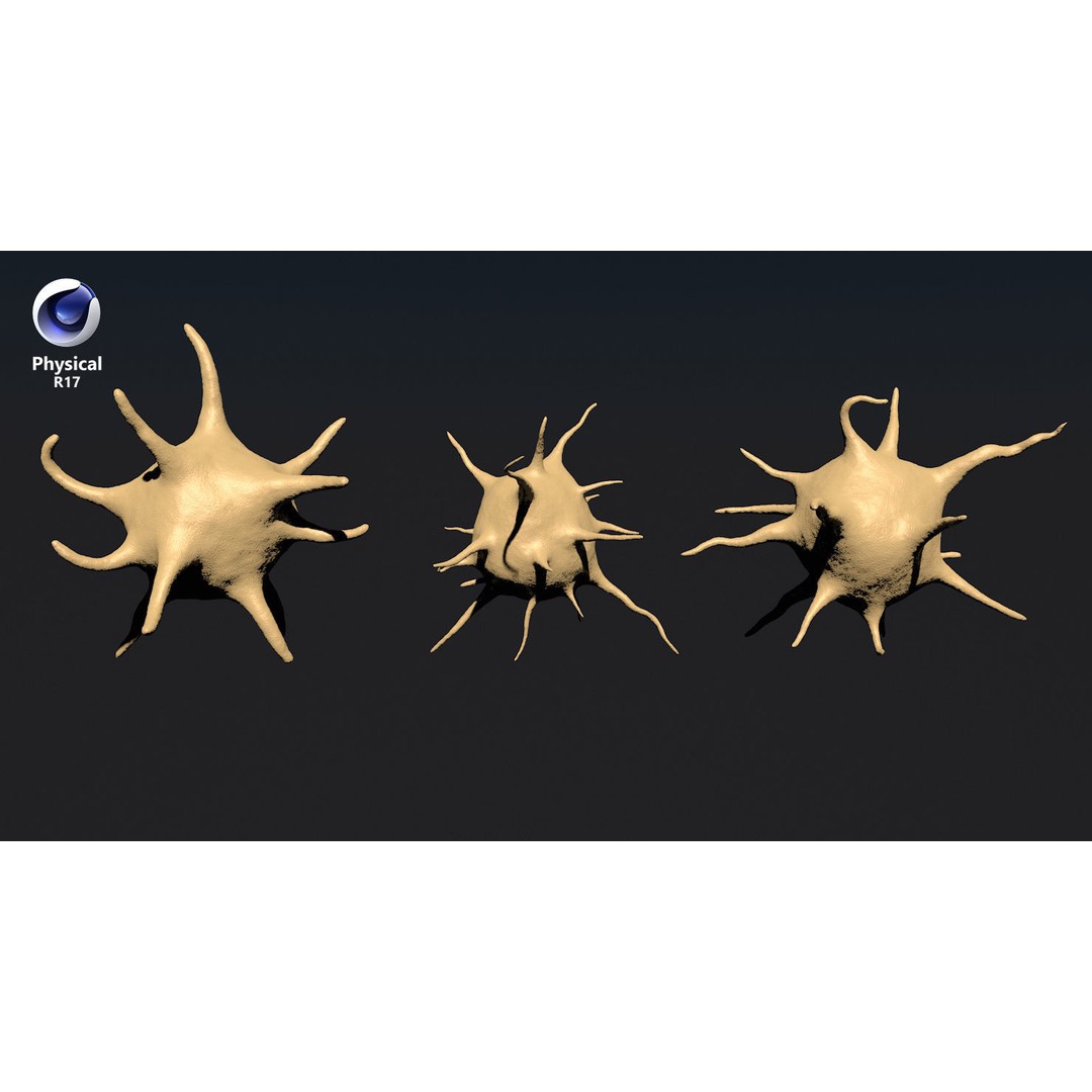 Platelet Thrombocyte Collection 3D Model – Low Poly PBR Asset, FBX, OBJ - View 33