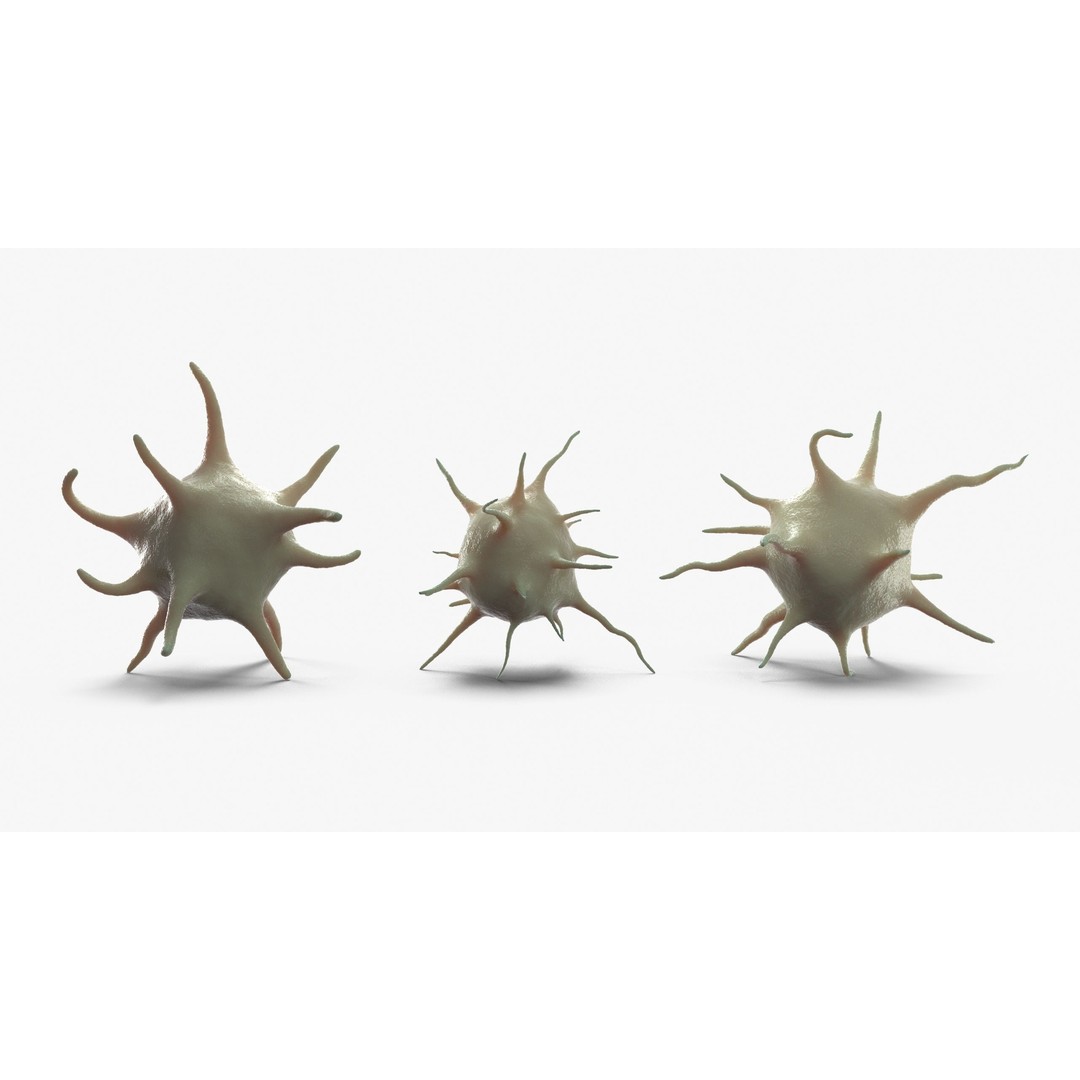 Platelet Thrombocyte Collection 3D Model – Low Poly PBR Asset, FBX, OBJ - View 4