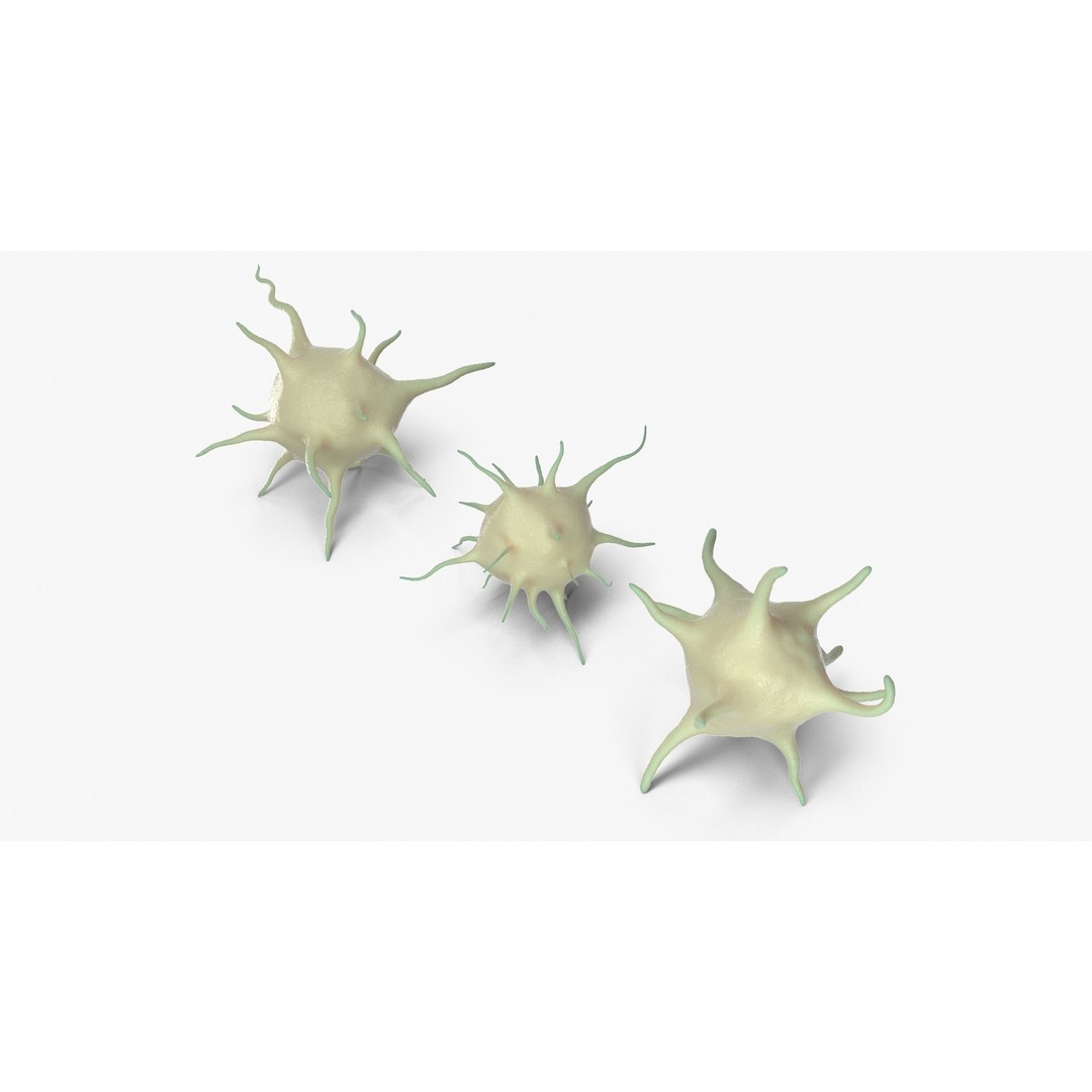 Platelet Thrombocyte Collection 3D Model – Low Poly PBR Asset, FBX, OBJ - View 6