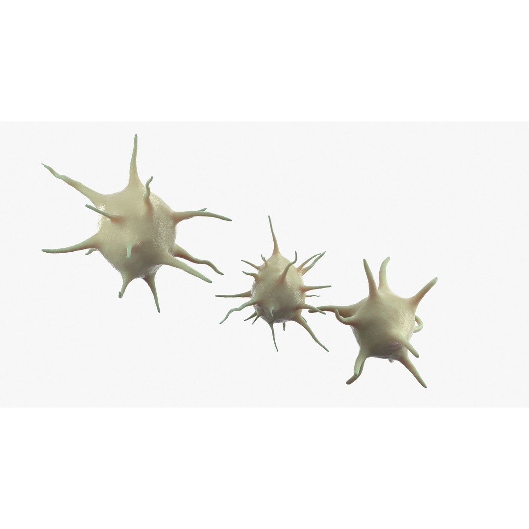 Platelet Thrombocyte Collection 3D Model – Low Poly PBR Asset, FBX, OBJ - View 7