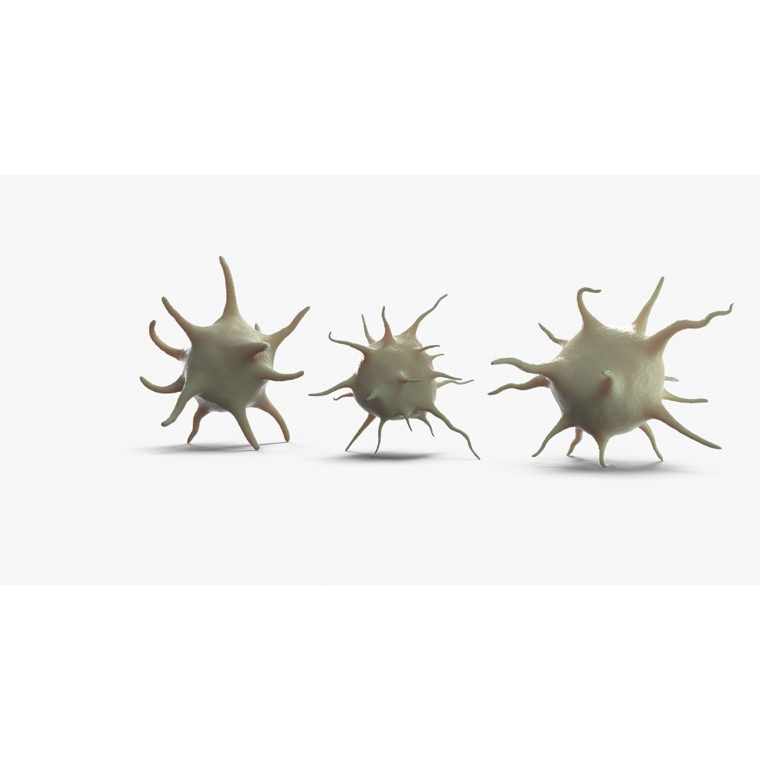 Platelet Thrombocyte Collection 3D Model – Low Poly PBR Asset, FBX, OBJ - View 8
