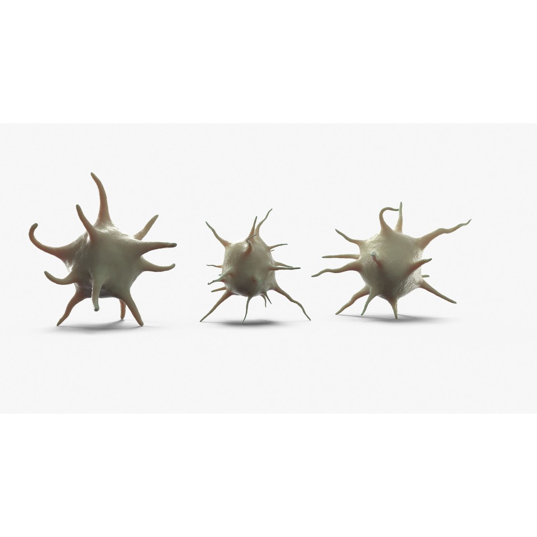 Platelet Thrombocyte Collection 3D Model – Low Poly PBR Asset, FBX, OBJ - View 9