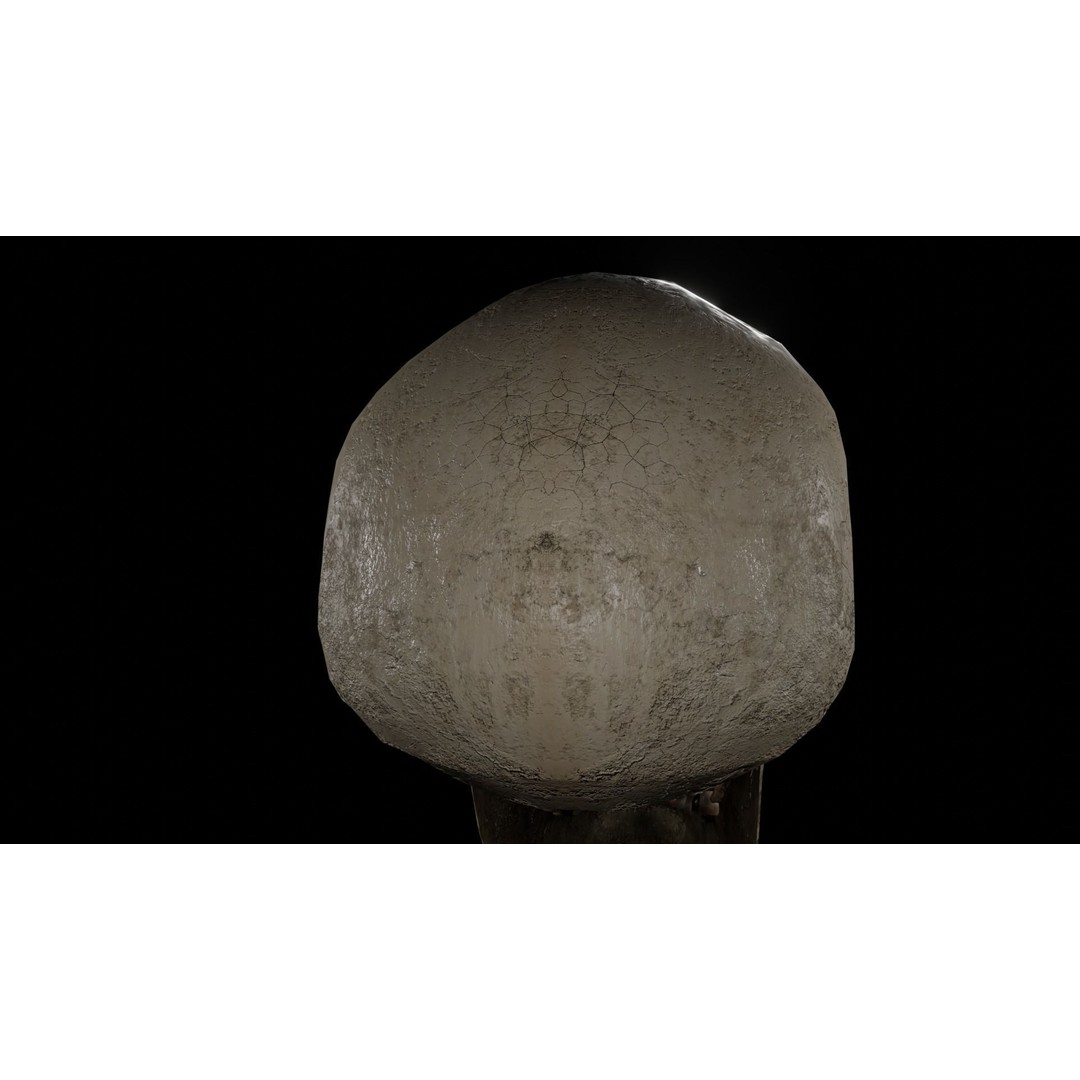 Human Skull 3D Model – Low Poly PBR Textured Asset, FBX, Blender - View 10