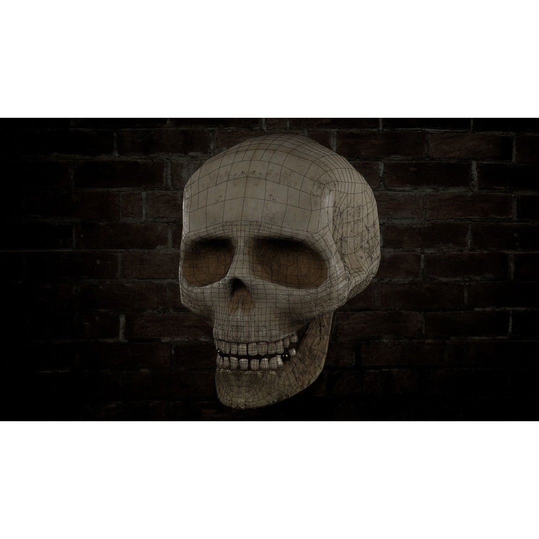 Human Skull 3D Model – Low Poly PBR Textured Asset, FBX, Blender - View 3
