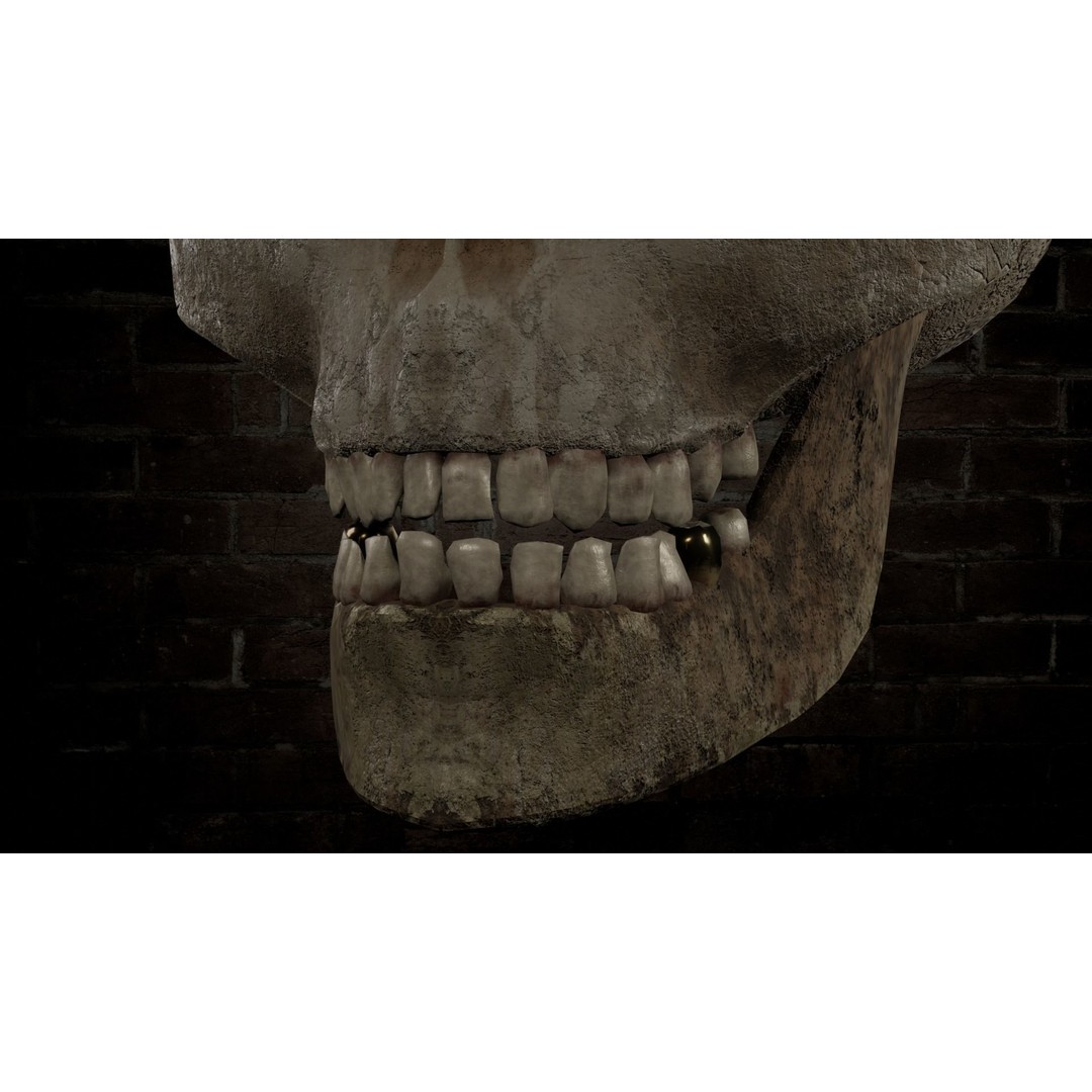 Human Skull 3D Model – Low Poly PBR Textured Asset, FBX, Blender - View 6