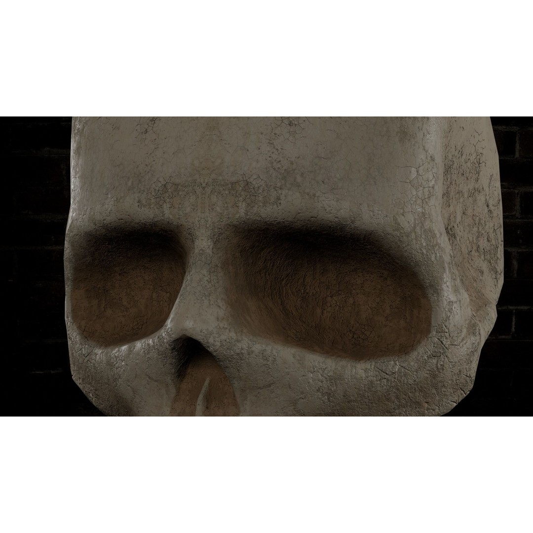 Human Skull 3D Model – Low Poly PBR Textured Asset, FBX, Blender - View 8