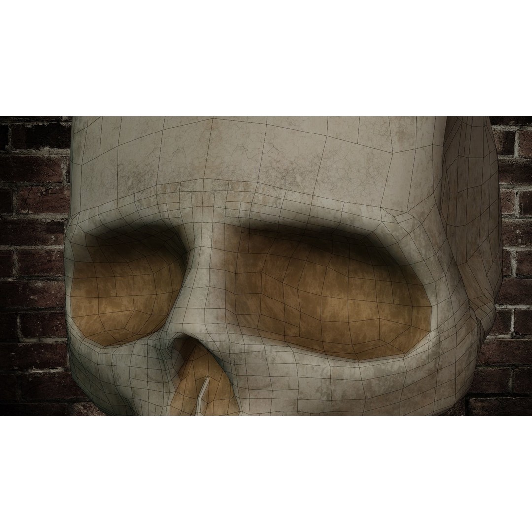 Human Skull 3D Model – Low Poly PBR Textured Asset, FBX, Blender - View 9
