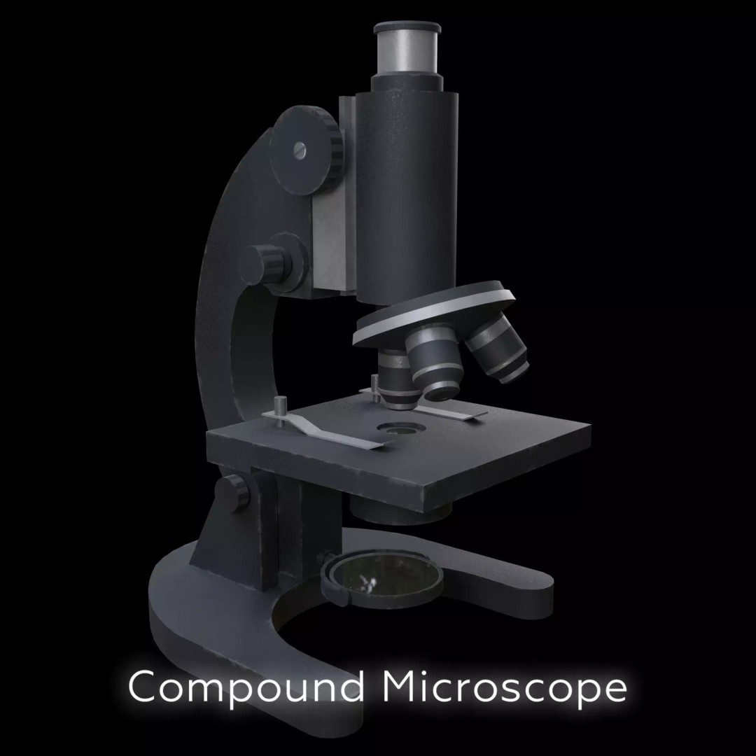 Compound Microscope 3D Model – Detailed PBR Asset for Science Projects - View 2