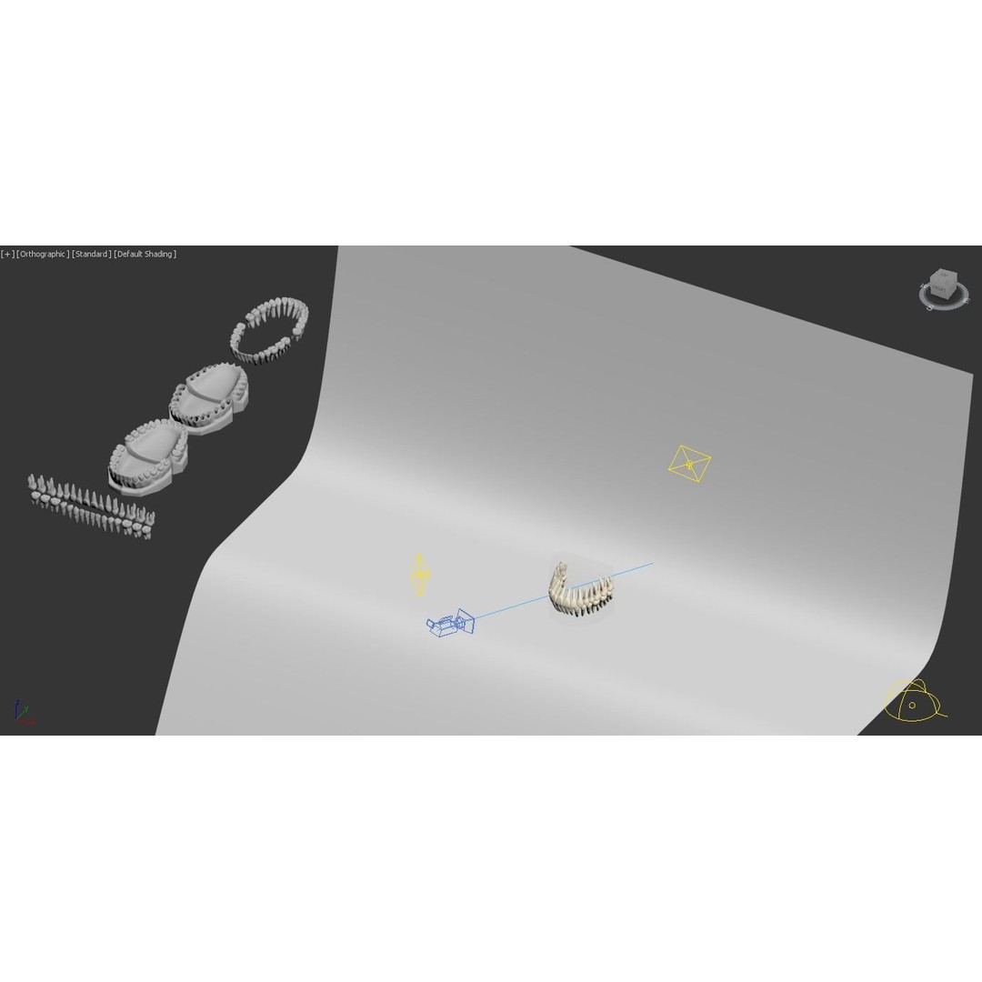 Dental 3D Model – High Poly Scanned Teeth for Rendering and 3D Printing