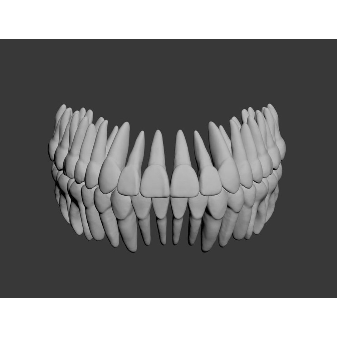 Dental 3D Model – High Poly Scanned Teeth for Rendering and 3D Printing - View 13