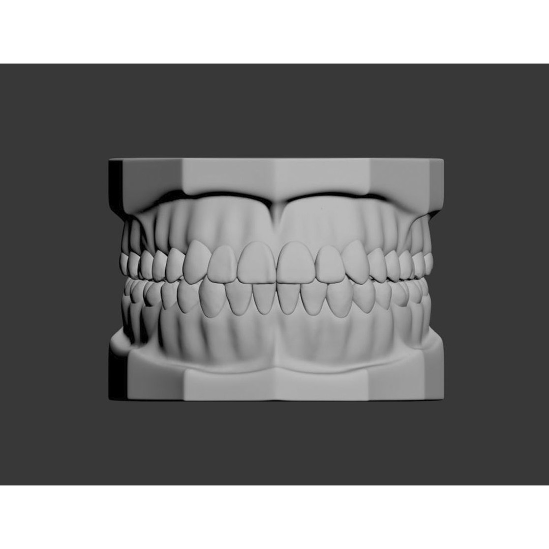 Dental 3D Model – High Poly Scanned Teeth for Rendering and 3D Printing - View 16