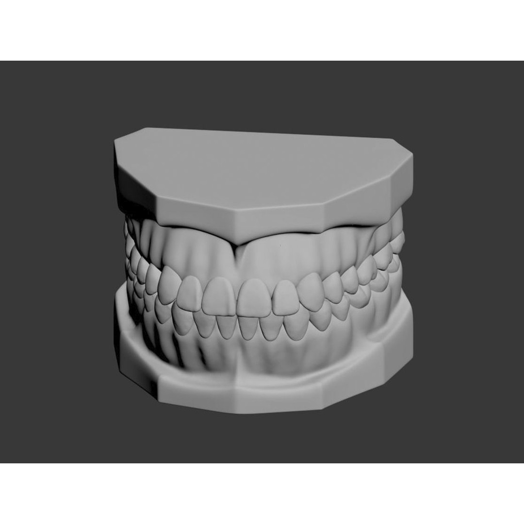 Dental 3D Model – High Poly Scanned Teeth for Rendering and 3D Printing - View 17