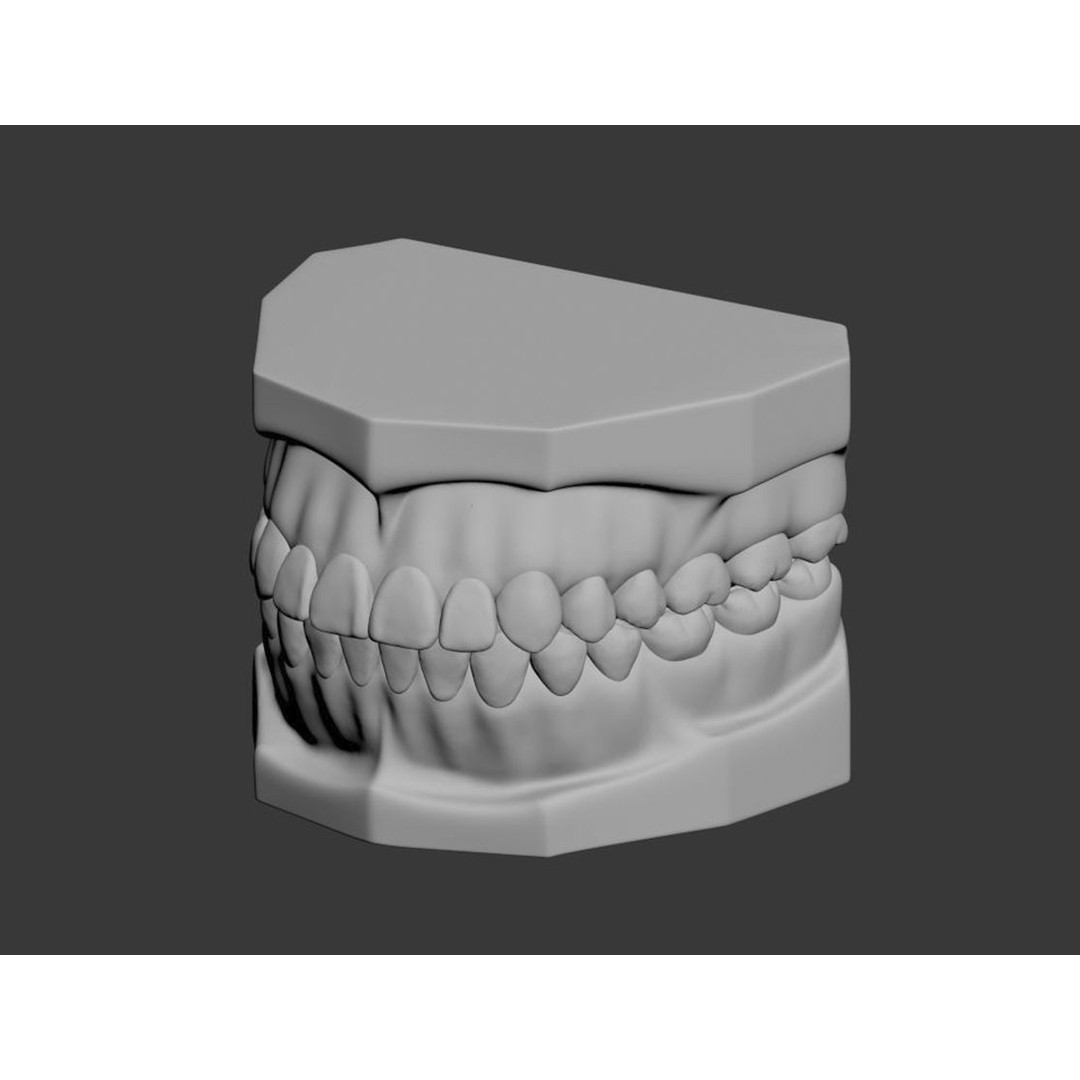 Dental 3D Model – High Poly Scanned Teeth for Rendering and 3D Printing - View 18