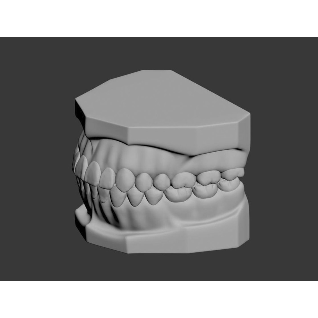 Dental 3D Model – High Poly Scanned Teeth for Rendering and 3D Printing - View 19